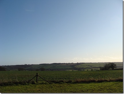 DSC00812