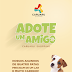 Shopping de Caruaru promove feira de adoção de animais no próximo domingo (20)