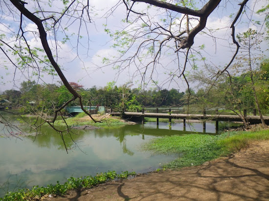 Lagoon inside Ninoy Aquino Parks and Wildlife Center where Lolong is planned to be placed.