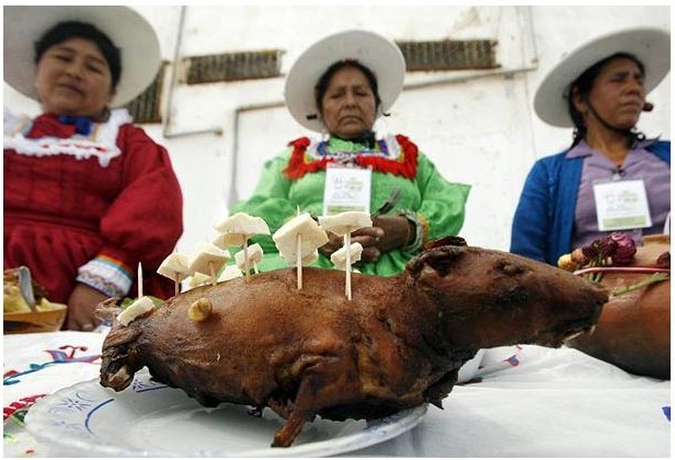 guinea-pig-festival (6) guinea-pig-festival (6)