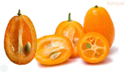 Kumquat fruit