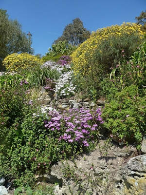 Ventnor Botanic Gardens