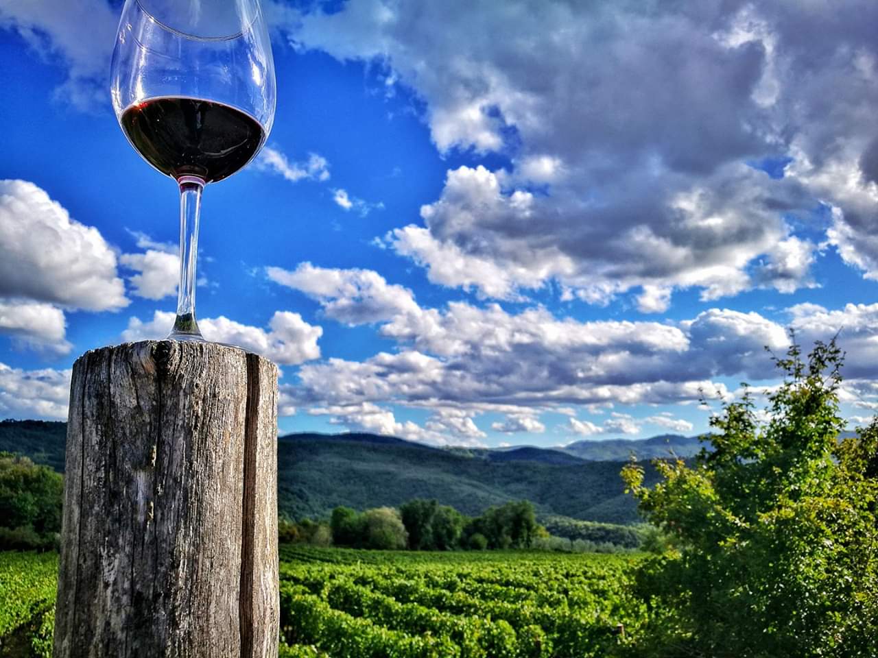 best wine regions in the world