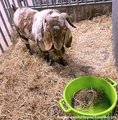 The 2020 Pennsylvania Farm Show in Harrisburg