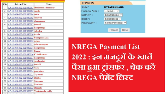 Image depicting a person checking their NREGA payment status online