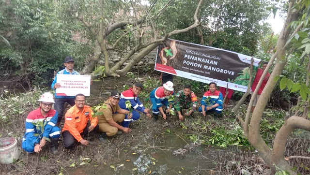 Lindungi Area Pesisir Belawan, Pertagas ONSA Tanam 500  Pohon Mangrove 
