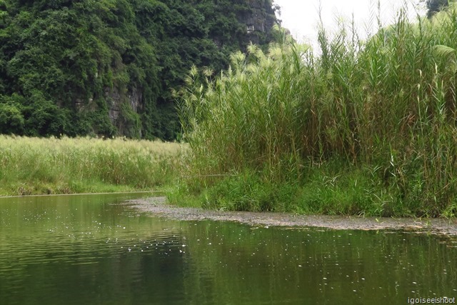 Boat ride at Trang An Eco-tourism Complex