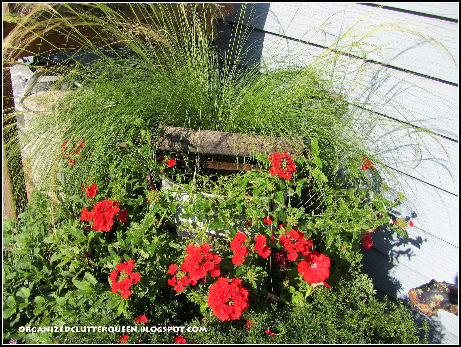 Whiskey Barrel Planter