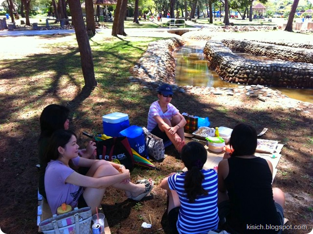 picnic6