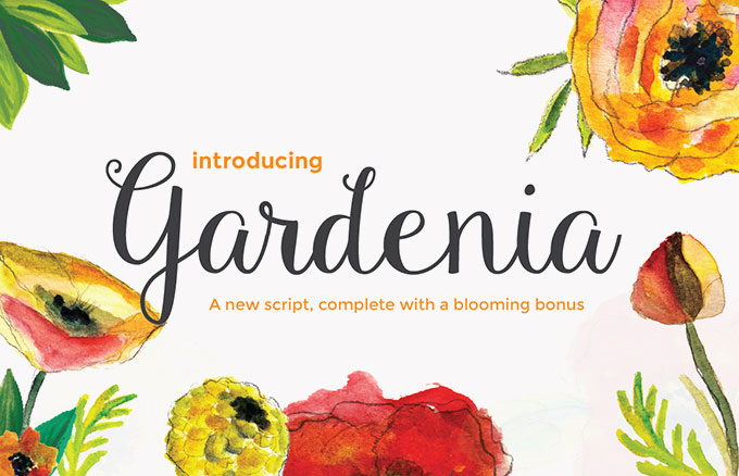 Gardenia Script