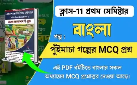 পুঁইমাচা গল্পের প্রশ্ন উত্তর | পুঁইমাচা গল্পের MCQ প্রশ্ন উত্তর | Puimacha Golpo Question Answer