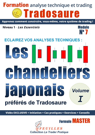 LES CHANDELIERS JAPONAIS VOLUME I