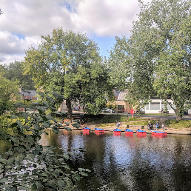 14 Things to do in Morpeth with Kids  - Rowing Boats