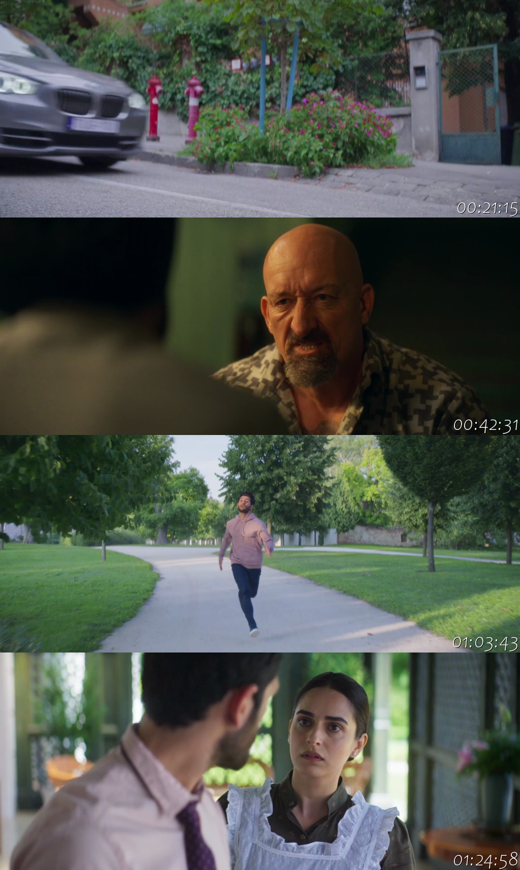 Detective Sherdil (2025) 2 Detective Sherdil