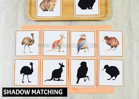 Oceania Australia Themed Math - Silhouette Matching Cards