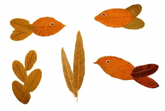   peces hechos con hojas secas de otoño