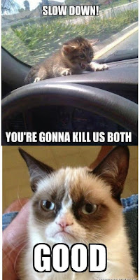 Grumpy Cat