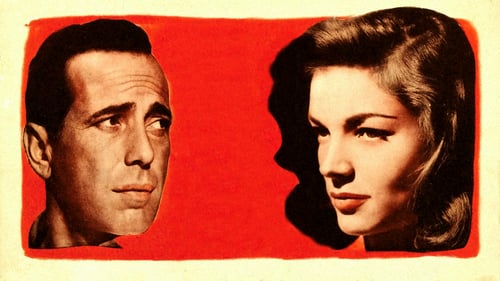 Le Grand Sommeil 1946 VF