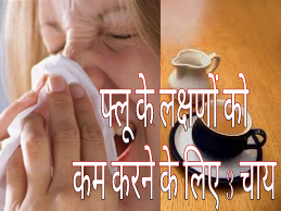 3 teas to reduce flu symptoms in Hindi !! फ्लू के लक्षणों को कम करने के लिए 3 चाय