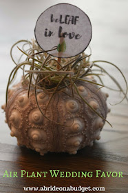 Air plants are such a great wedding favor idea. Find out about them and get a free "beLEAF in love" wedding favor tag at www.abrideonabudget.com.