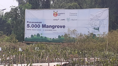 Giat Apical Grup Tanam 5600 Mangrove di Blok Elang Laut PIK