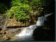 DSCN3262