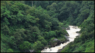 Waterfalls in Munnar