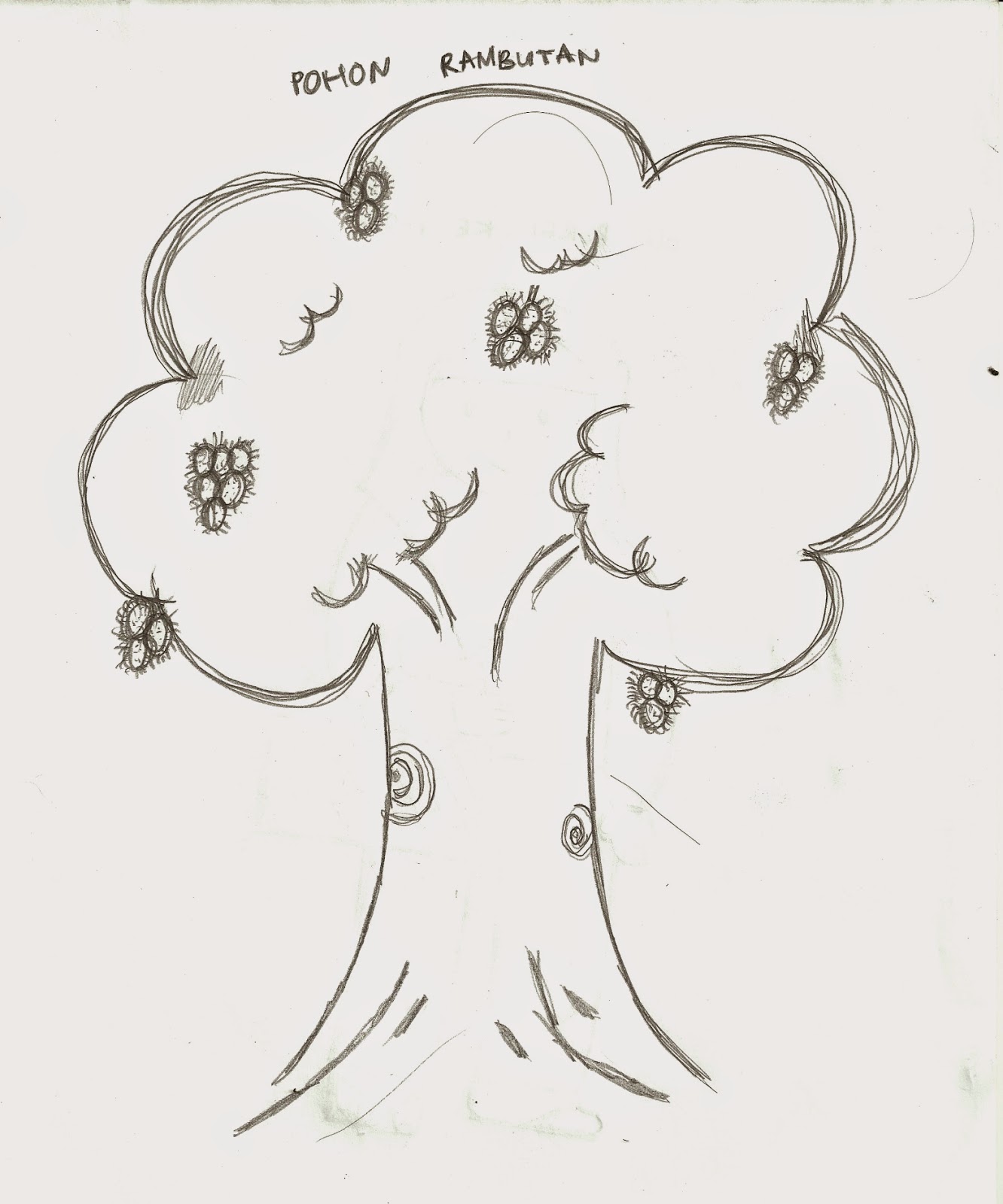 Gambar Mewarnai Pohon Rambutan Sukagambarku