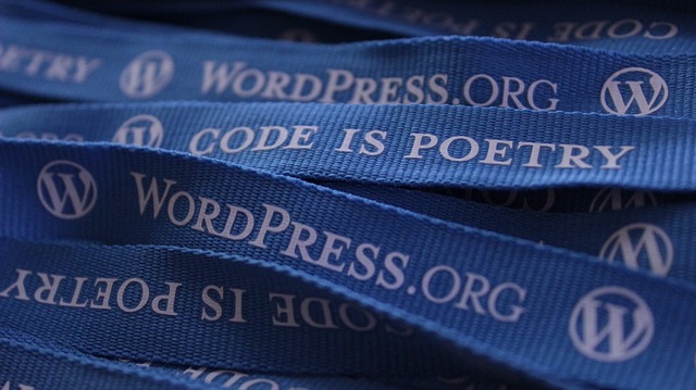 "WordPress" is a website creation software 