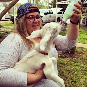 Blair Loup helps feed the baby goats before we get back on the road