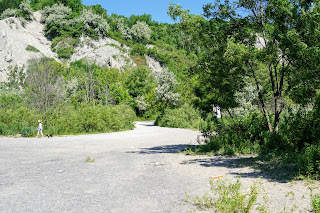 Take the trail along the pond from the beach to get to the docks in Bluffers Park