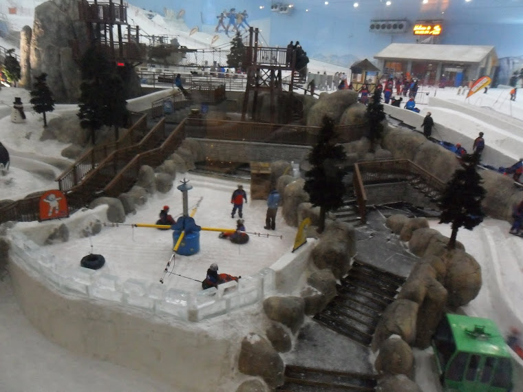 More of the Ski Hill at the Mall of the Emirates