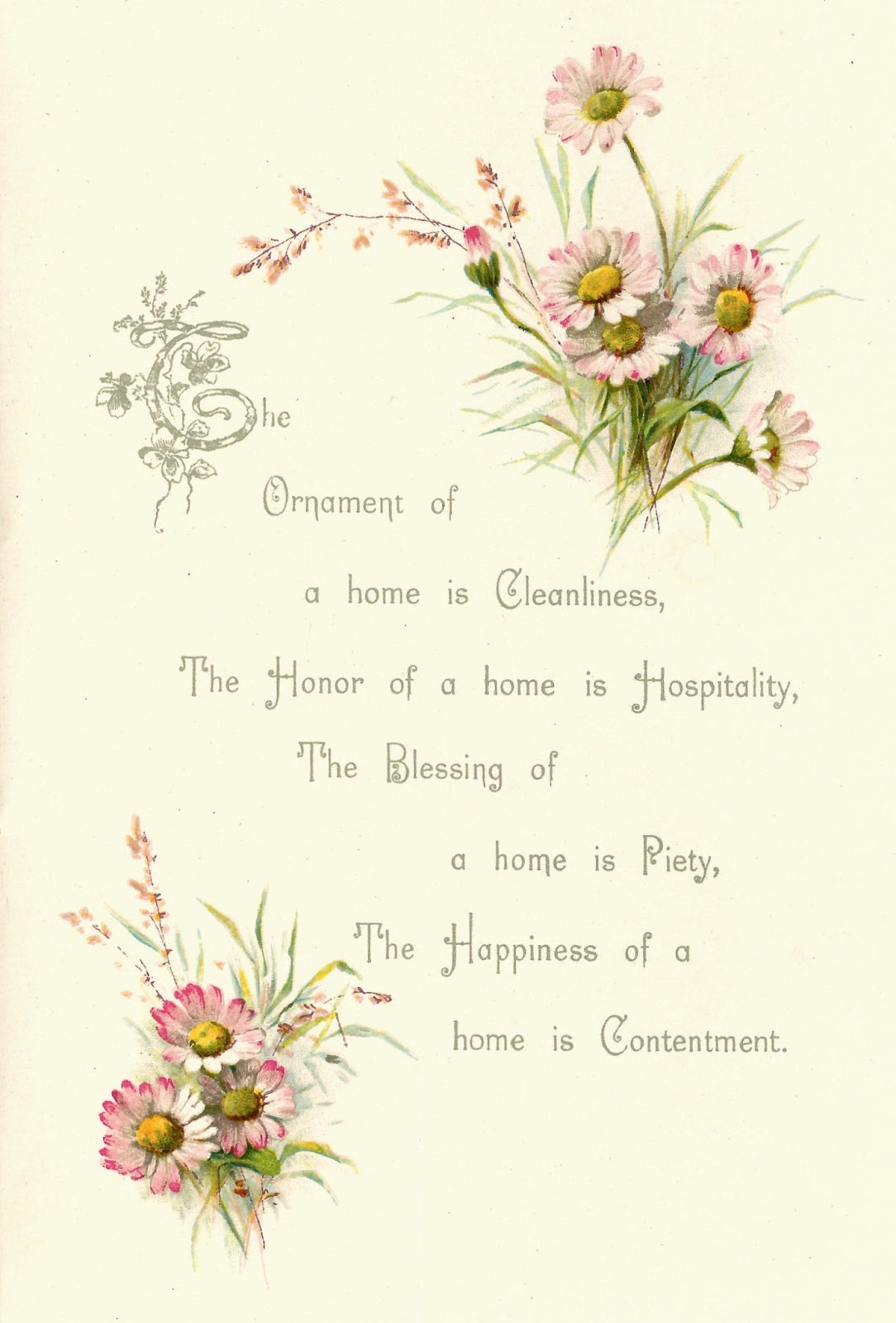 Antique Images Free Flower Graphic Vintage Pink Daisy 