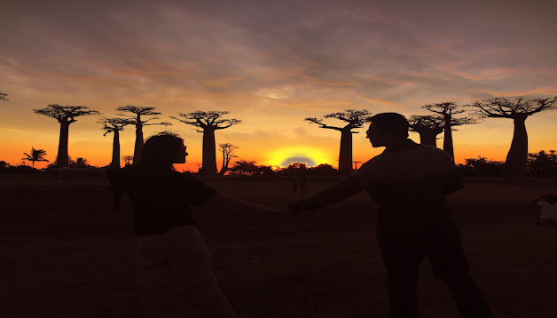 Zonsondergang bij de Baobablaan in Morondava