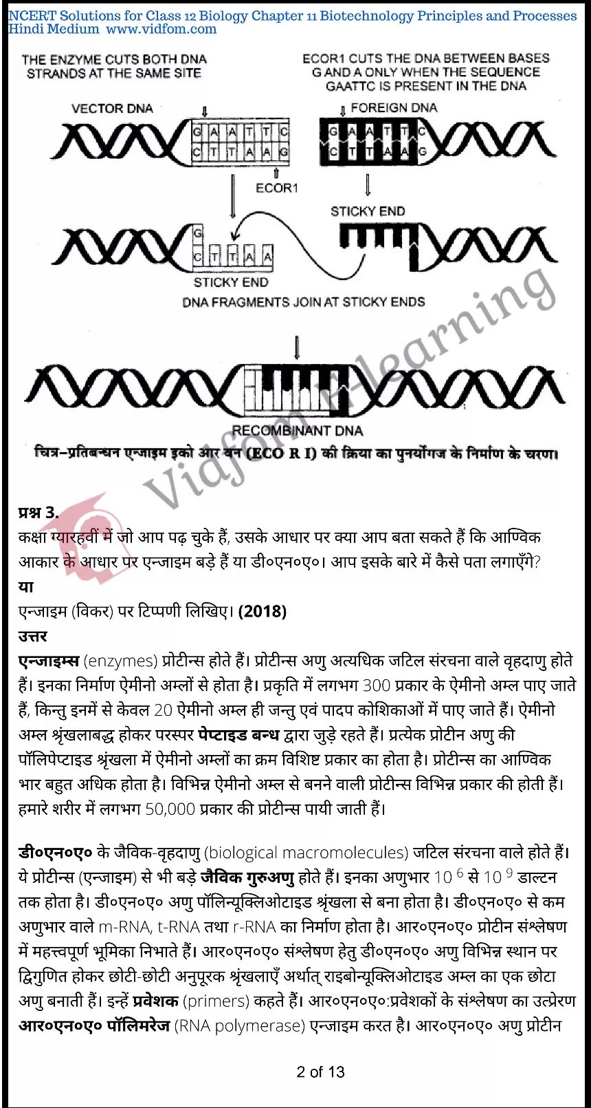 कक्षा 12 जीव विज्ञान  के नोट्स  हिंदी में एनसीईआरटी समाधान,     class 12 Biology Chapter 11,   class 12 Biology Chapter 11 ncert solutions in Hindi,   class 12 Biology Chapter 11 notes in hindi,   class 12 Biology Chapter 11 question answer,   class 12 Biology Chapter 11 notes,   class 12 Biology Chapter 11 class 12 Biology Chapter 11 in  hindi,    class 12 Biology Chapter 11 important questions in  hindi,   class 12 Biology Chapter 11 notes in hindi,    class 12 Biology Chapter 11 test,   class 12 Biology Chapter 11 pdf,   class 12 Biology Chapter 11 notes pdf,   class 12 Biology Chapter 11 exercise solutions,   class 12 Biology Chapter 11 notes study rankers,   class 12 Biology Chapter 11 notes,    class 12 Biology Chapter 11  class 12  notes pdf,   class 12 Biology Chapter 11 class 12  notes  ncert,   class 12 Biology Chapter 11 class 12 pdf,   class 12 Biology Chapter 11  book,   class 12 Biology Chapter 11 quiz class 12  ,    11  th class 12 Biology Chapter 11  book up board,   up board 11  th class 12 Biology Chapter 11 notes,  class 12 Biology,   class 12 Biology ncert solutions in Hindi,   class 12 Biology notes in hindi,   class 12 Biology question answer,   class 12 Biology notes,  class 12 Biology class 12 Biology Chapter 11 in  hindi,    class 12 Biology important questions in  hindi,   class 12 Biology notes in hindi,    class 12 Biology test,  class 12 Biology class 12 Biology Chapter 11 pdf,   class 12 Biology notes pdf,   class 12 Biology exercise solutions,   class 12 Biology,  class 12 Biology notes study rankers,   class 12 Biology notes,  class 12 Biology notes,   class 12 Biology  class 12  notes pdf,   class 12 Biology class 12  notes  ncert,   class 12 Biology class 12 pdf,   class 12 Biology  book,  class 12 Biology quiz class 12  ,  11  th class 12 Biology    book up board,    up board 11  th class 12 Biology notes,      कक्षा 12 जीव विज्ञान अध्याय 11 ,  कक्षा 12 जीव विज्ञान, कक्षा 12 जीव विज्ञान अध्याय 11  के नोट्स हिंदी में,  कक्षा 12 का हिंदी अध्याय 11 का प्रश्न उत्तर,  कक्षा 12 जीव विज्ञान अध्याय 11  के नोट्स,  11 कक्षा जीव विज्ञान  हिंदी में, कक्षा 12 जीव विज्ञान अध्याय 11  हिंदी में,  कक्षा 12 जीव विज्ञान अध्याय 11  महत्वपूर्ण प्रश्न हिंदी में, कक्षा 12   हिंदी के नोट्स  हिंदी में, जीव विज्ञान हिंदी में  कक्षा 12 नोट्स pdf,    जीव विज्ञान हिंदी में  कक्षा 12 नोट्स 2021 ncert,   जीव विज्ञान हिंदी  कक्षा 12 pdf,   जीव विज्ञान हिंदी में  पुस्तक,   जीव विज्ञान हिंदी में की बुक,   जीव विज्ञान हिंदी में  प्रश्नोत्तरी class 12 ,  बिहार बोर्ड   पुस्तक 12वीं हिंदी नोट्स,    जीव विज्ञान कक्षा 12 नोट्स 2021 ncert,   जीव विज्ञान  कक्षा 12 pdf,   जीव विज्ञान  पुस्तक,   जीव विज्ञान  प्रश्नोत्तरी class 12, कक्षा 12 जीव विज्ञान,  कक्षा 12 जीव विज्ञान  के नोट्स हिंदी में,  कक्षा 12 का हिंदी का प्रश्न उत्तर,  कक्षा 12 जीव विज्ञान  के नोट्स,  11 कक्षा हिंदी 2021  हिंदी में, कक्षा 12 जीव विज्ञान  हिंदी में,  कक्षा 12 जीव विज्ञान  महत्वपूर्ण प्रश्न हिंदी में, कक्षा 12 जीव विज्ञान  नोट्स  हिंदी में,