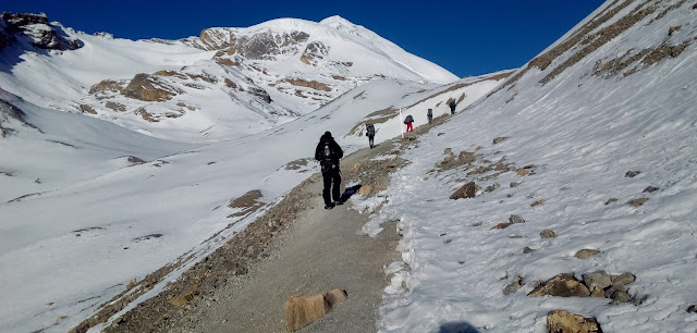 Thorong Peak Climbing