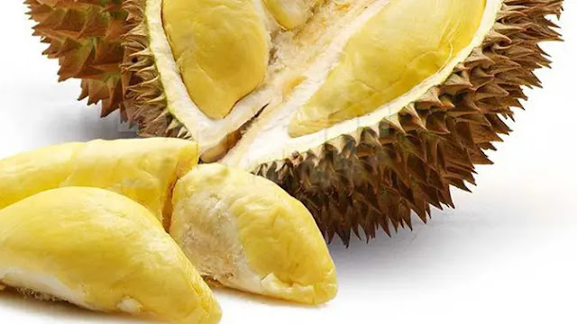 Supplier Jual Durian Montong Tanjung Selor, Kalimantan Utara Paling Top