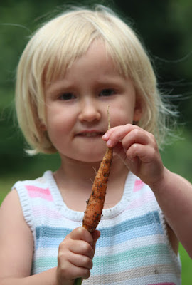 Photography carrot