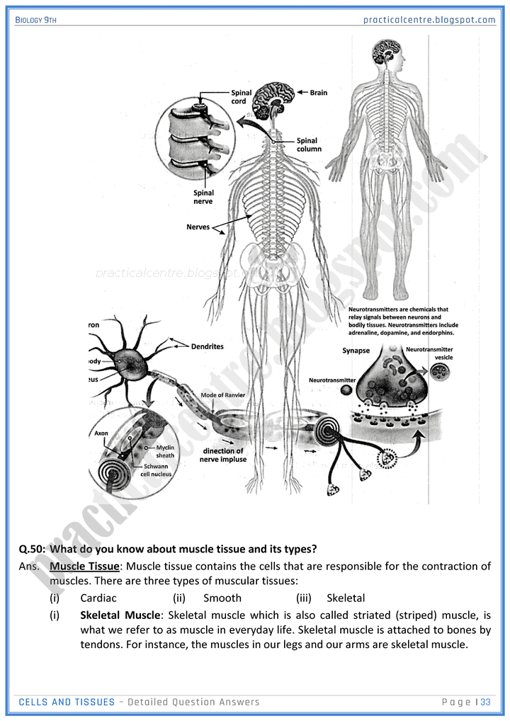 cells-and-tissues-detailed-question-answers-biology-9th-notes