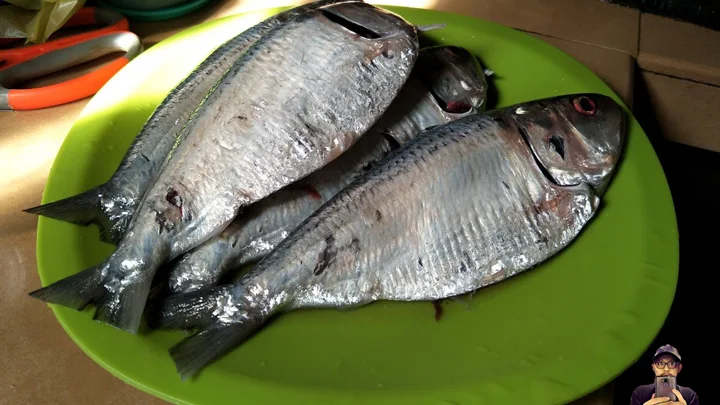 Ikan Terubok Sedap Digulai Kari