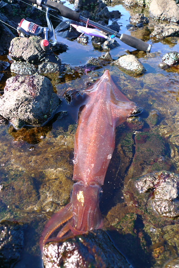 P1070435.jpg