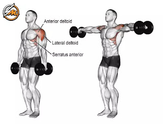 Full Shoulder Workout for Faster Shoulder Gains
