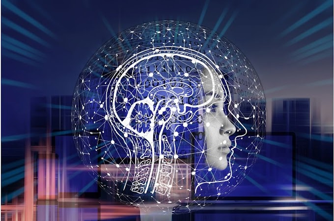 ▷ ¿Cuáles son los mejores programas de Inteligencia Artificial para el trabajo remoto? 