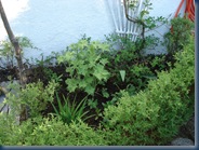 DSC00086