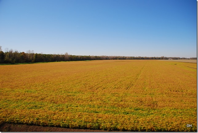 11-09-15 B US60 Between Ohio and Mississippi Rivers (8)