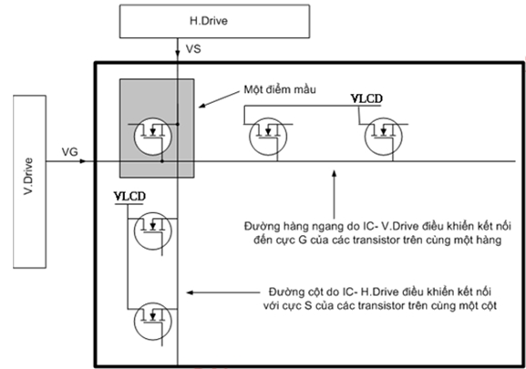 Chân S của các Transistor được đấu chung váo các đường cột, chân được đấu chung vào các đường hàng ngang