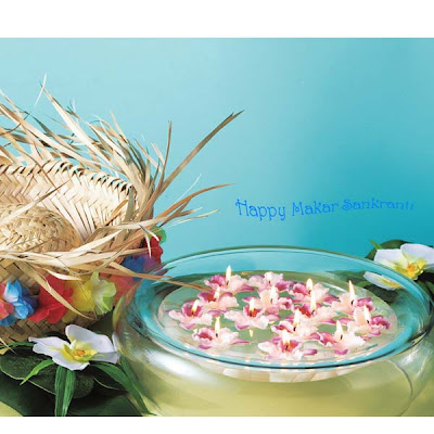 Makar Sankranti Greetings Cards Wallpaper