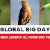 El Meta registra el mayor número de especies de aves en el país: Colombia gana el Global Big Day