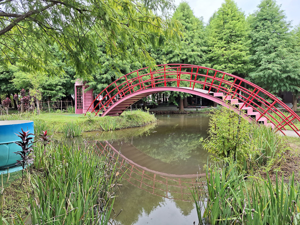 雲林古坑珍粉紅教堂咖啡(珍粉紅城堡鹿角村)、水漾森林教堂