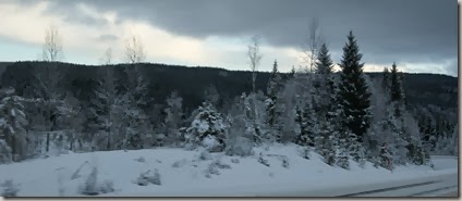 DSC07385